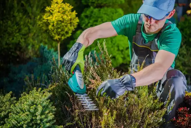 landscaping services Oak Hill